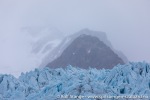 210911a_Smeerenburgbreen_34_N