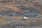 210917c_Mollerfjord_05_N