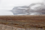 210921a_Gipshuksletta_65_N