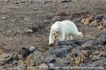 210830b_Lilliehookfjord_30_N