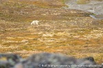 210824a_Observatoriefjellet_32_N