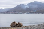 210715_Longyearbyen_18_N