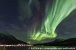 211031d_Burfjord_55_N