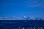 220129c_Forlandsund_08_N