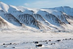 c8c_Nordenskioldbreen_01Mai13_73_E