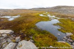 210820a_Straumsland_08_E