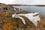 210820a_Straumsland_65_E
