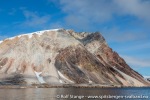 180718a_Reliktbukta_023_N