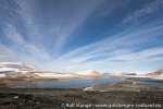 180718a_Reliktbukta_094_N