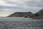 Rossoya_09_July_05-_074_N