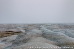 b8_Braasvellbreen_11Sept12_059_N