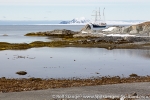 170529a_tordenskjoldbukta_01