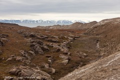 Barentsøya