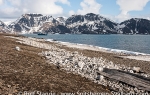 Ahlstrand_18Juni08_01