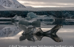 Recherchebreen_25Sept08_043