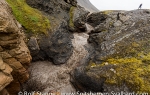 f7n_Forsbladodden_15Aug13_031