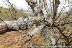 180522a_stokmarknes_26