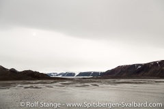 Lomfjord