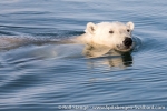 180812b_brasvellbreen_053