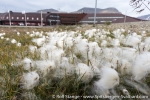 180817b_longyearbyen_03