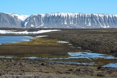 Tusenøyane