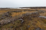c4_Habenichtbukta_14Juli09_007