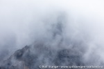 220807_Trygghamna_62_N