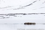 190608b_Nansenbreen_09