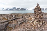 170801_Bruceneset_09
