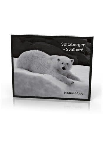 https://shop.spitzbergen.de/no/svalbard-boker/18-spitzbergen-svalbard-fotobok-nadine-hugo-9783937903323.html
