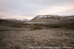 c1_gyntflya_30-31juli07_09