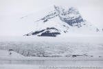 190608b_Nansenbreen_01