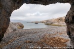 210904a_Blomstrand_12_N