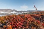 190902b_Renodden_38