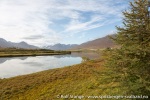 190908a_Dalvik_03