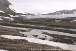 a9_fulmardalen_12juli07_20