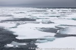 190630c_Eis_09