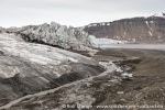 190708a_Markhambreen_023