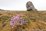 190711a_Tordenskjoldbukta_59