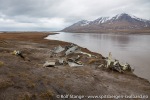 f1z_Adventdalen_19Juni13_02_N