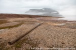 220713a_Coraholmen_44_N