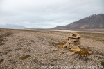 220712a_Gipsdalen_059_N