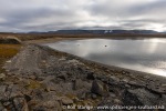220830a_Habenichtbukta_17_N