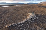 220830d_Diskobukta_008_N