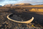 220830d_Diskobukta_012_N