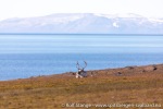 220831a_Rosenbergdalen_02_N