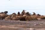 220831b_Kapp-Lee_079_N