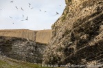 220831c_Buedelfjellet_057_N