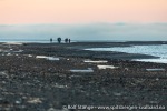220831e_Zeiloyane_41_N
