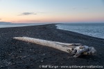 220831e_Zeiloyane_74_N
